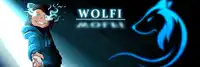 Wolfstigerin - Profilbanner